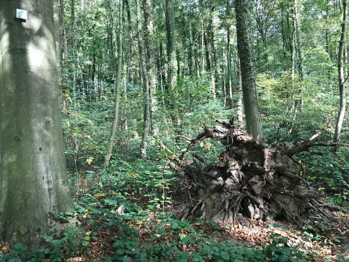 Vakantiewoning Leberg Brakel Buitenkant foto